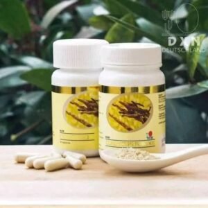 Home فطر الكورديسبس